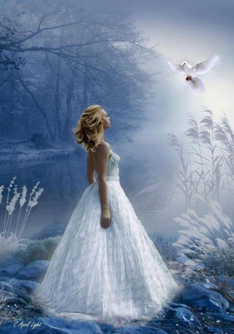 68a17764f435eab99e7a1c0dc8870e27--prophetic-art-white-doves