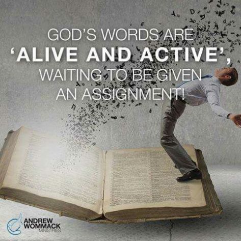 e73f25a5448072d02a6b1e83e24a8b1a