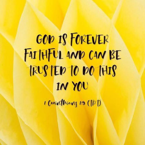 64311206_2465768286876966_6515079537837747195_n