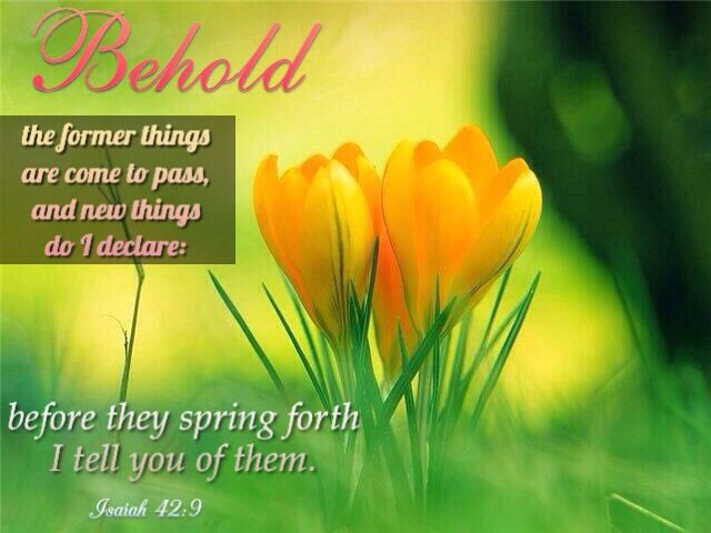 8972c673d3e15373340beb38ee28f301