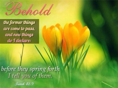 8972c673d3e15373340beb38ee28f301